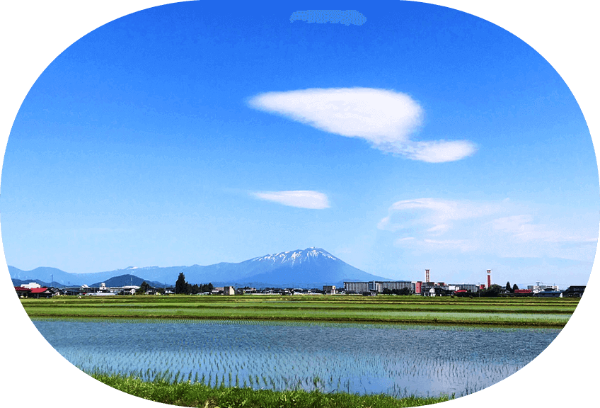 矢巾町から見た岩手山の風景（春）