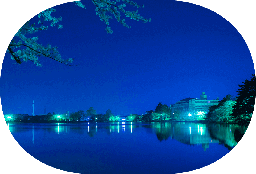 夜の高松の池